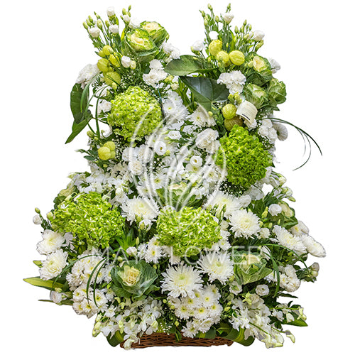 Natures County Main image