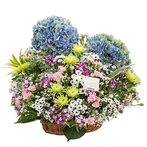 Mesmerising Montage Main image