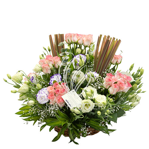 Serene Zest Main image