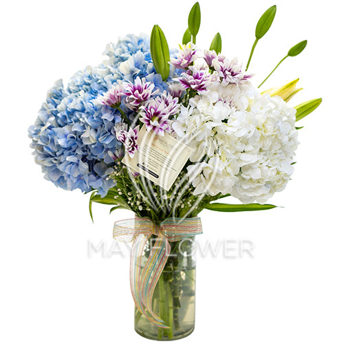 Serene Pasture Main image