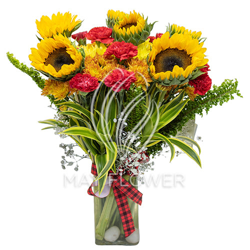 Florid Flare Main image