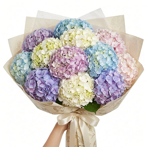 Petal Cloud