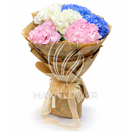 Hydrangea Harmony
