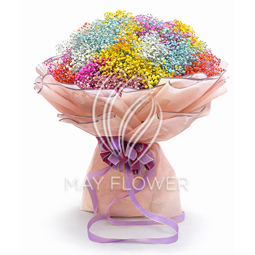 Soft Whispers Main image