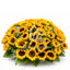 Sunburst Joy