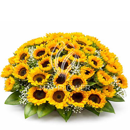 Sunburst Joy