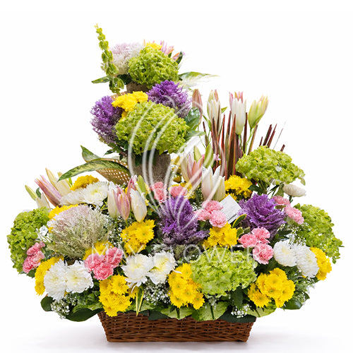 Island Elegance Main image