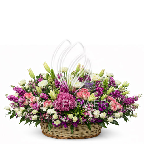 Royal Tropics Main image