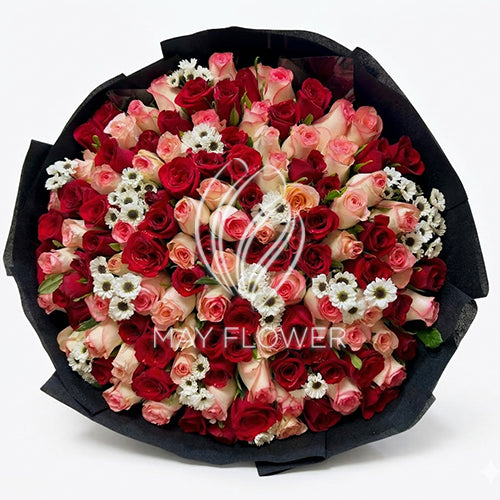 Bella Rossa Secondary image