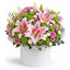 Blush Harmony