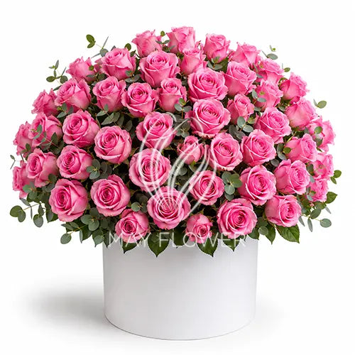Rosa Rouge