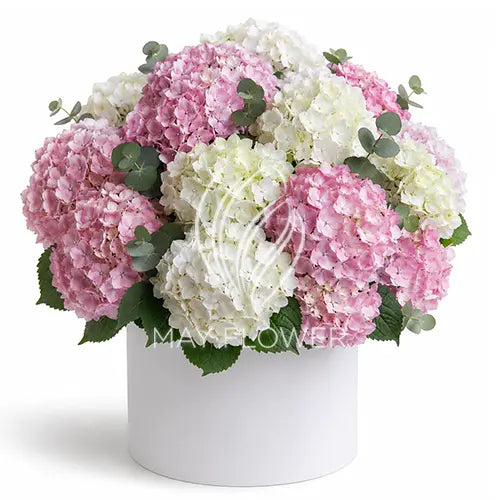 Hydrangea Elegance Main image