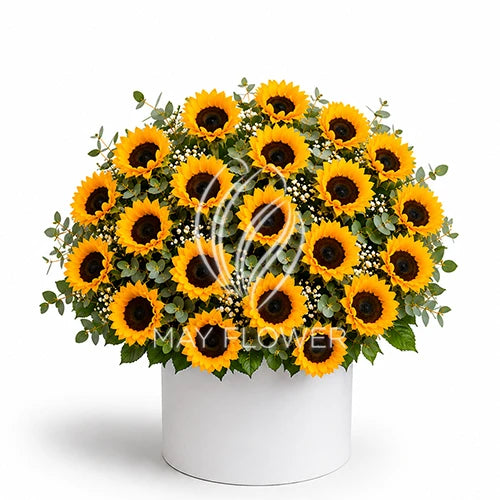 Solar Bloom