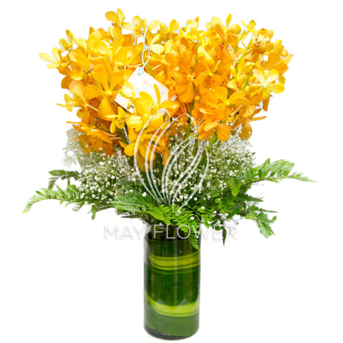 Beautiful Orchids Vase