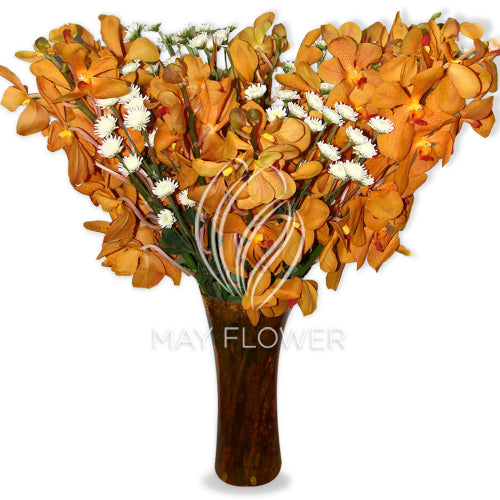 Beautiful Orchids Vase