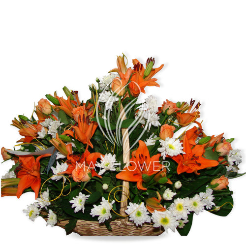 Mix Basket Main image