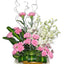 Carnations Orchids