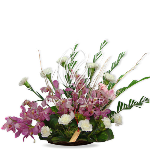 Carnations and Orchids Main image