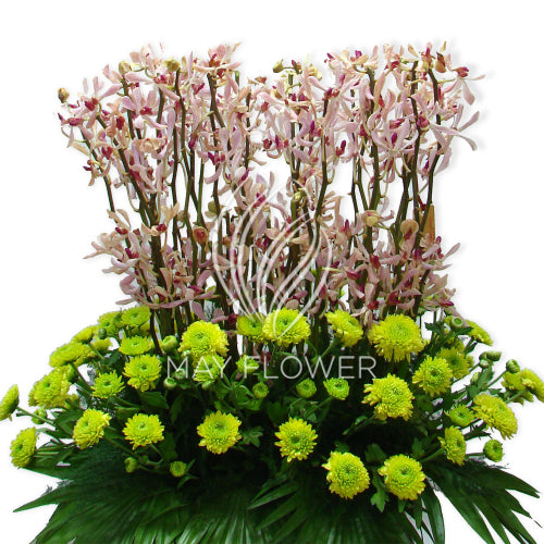 Orchid And Chrysanthemums Main image