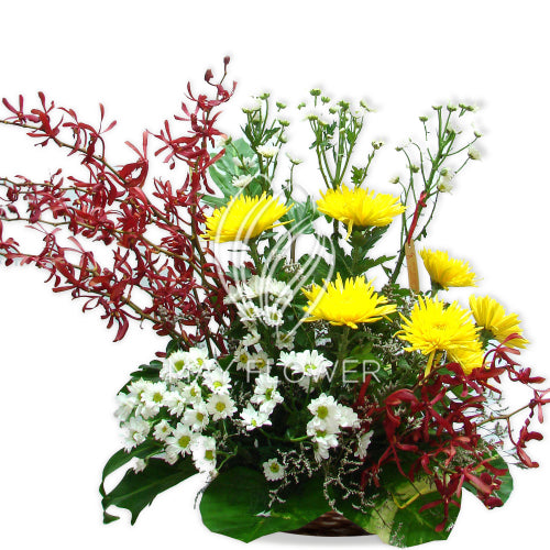 Bright Cheerful Basket