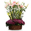 Exotic Mix Basket