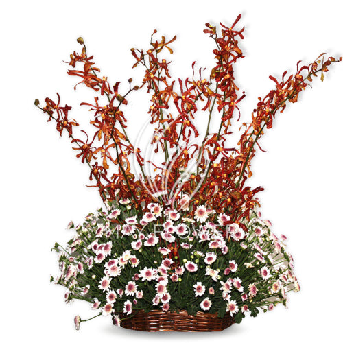 Assorted Basket Floral Splash! Main image