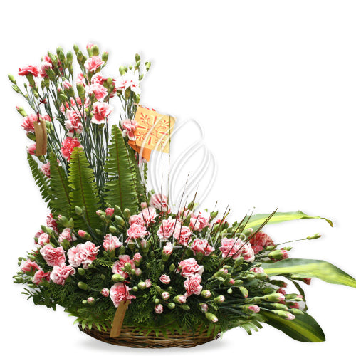 Carnation Beauty! Main image