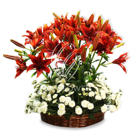Assorted Contrasting Basket of Florals