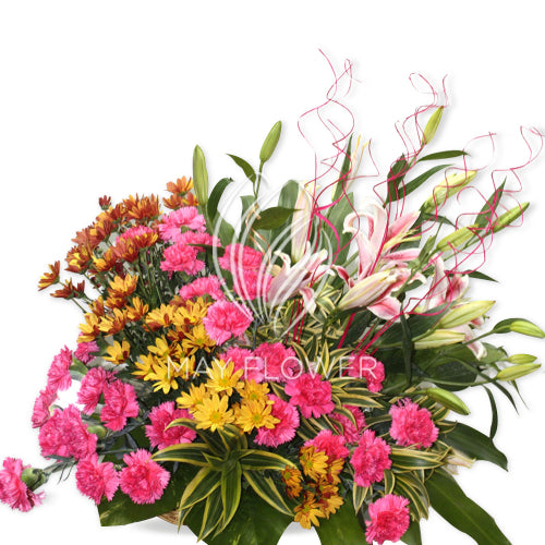 Pink Yellow Passion Main image
