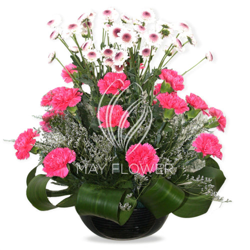 Pink Assorted