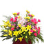 Bright Assorted Basket