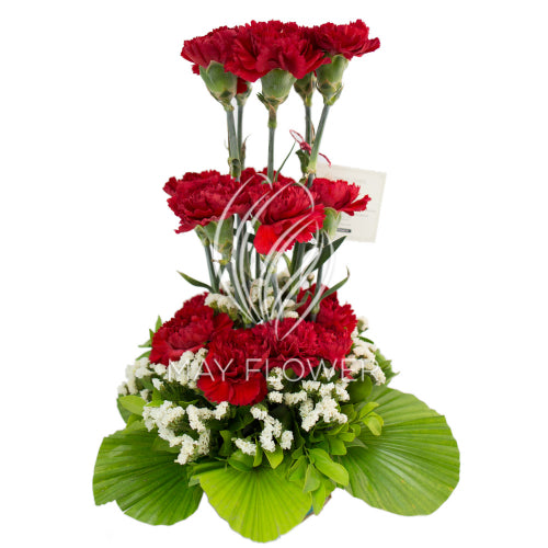Fresh Carnation Basket Main image