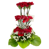 Fresh Carnation Basket