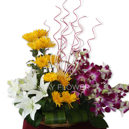 Tri Color Basket