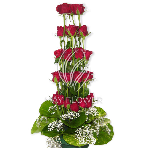 Tall Red Roses Main image