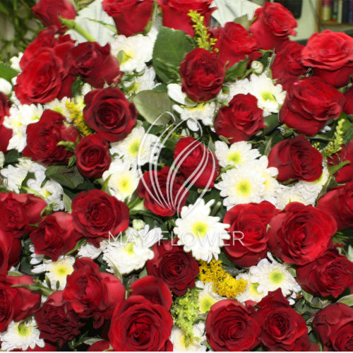 Red White Bunch Main image
