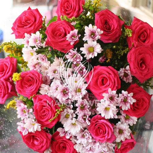 Pink Pleasure! Main image