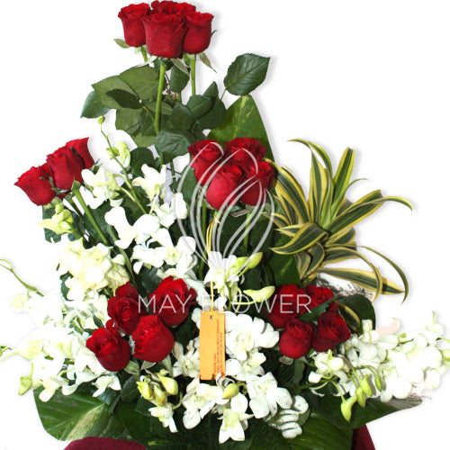 Red Roses Spread