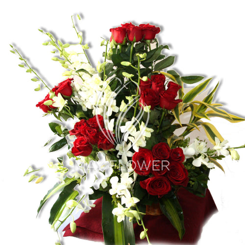 Red Roses Spread