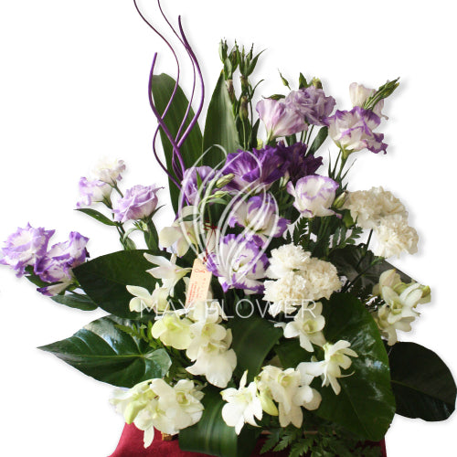 Soft Floral Hues