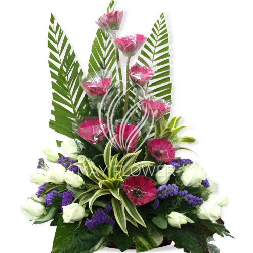 Gerbera Rose Basket