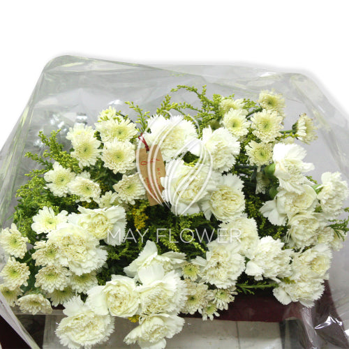Hand Bunch Of White Flowers Main image