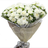 Hand Bunch Of White Flowers