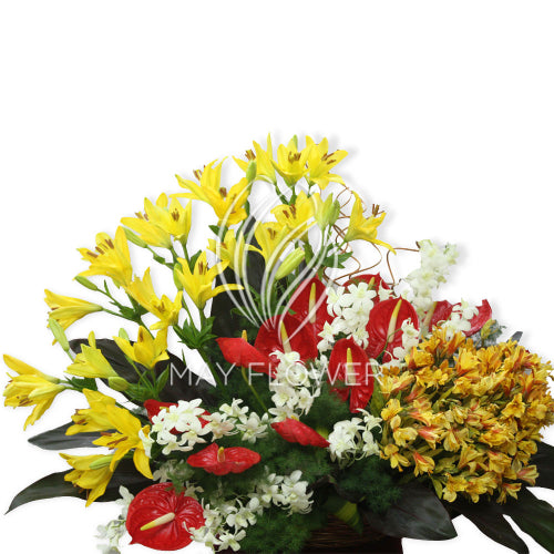 Exotic Large Basket Flowers