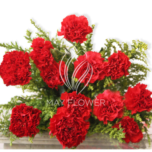 Dozen Carnations Main image