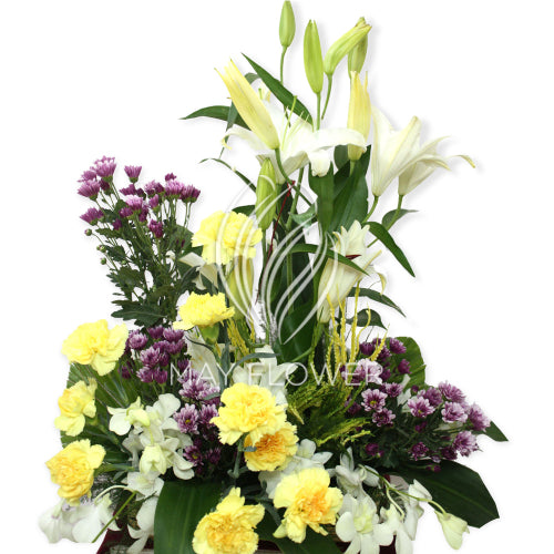 Pale Sunshine Flowers