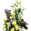 Pale Sunshine Flowers