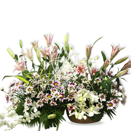 Exotic Florals