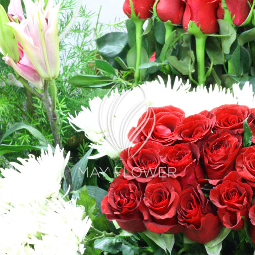Red Rose Romance
