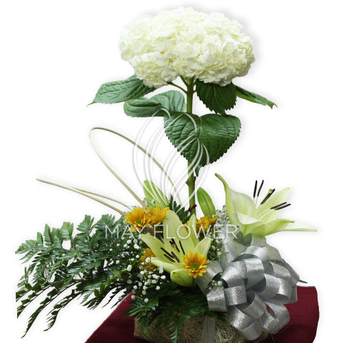 Exotic Floral Artistry